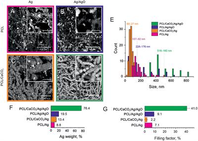 Polycaprolactone-Based, Porous CaCO3 and Ag Nanoparticle Modified Scaffolds as a SERS Platform With Molecule-Specific Adsorption